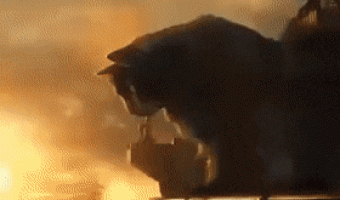Godzilla vs Cat