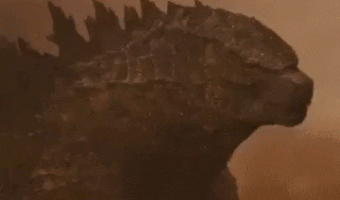 Godzilla vs kong