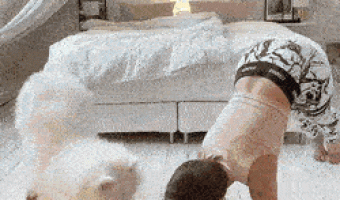 Exercising at home with the dog