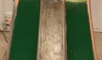 Having fun with the gang?