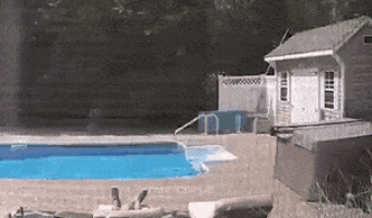 Hey bro, how are you doing