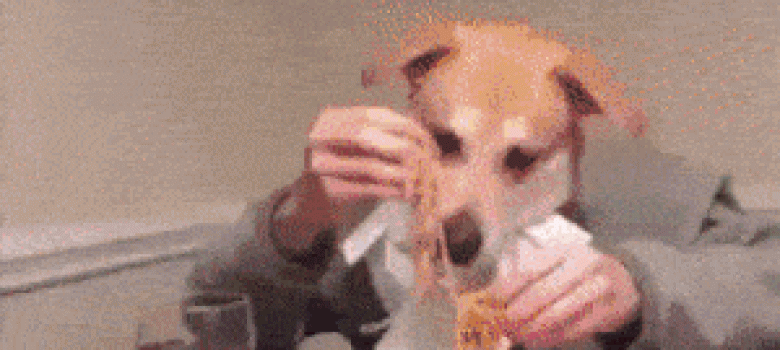 Dog Man Eating Pasta