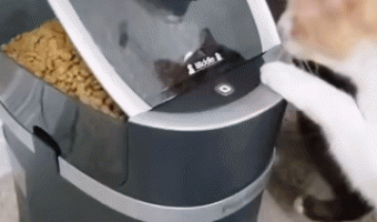 Human I’m very hungry