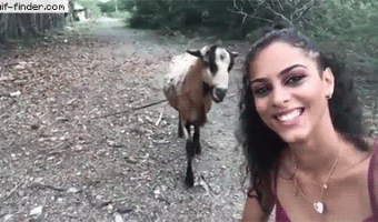 Beware of the goat