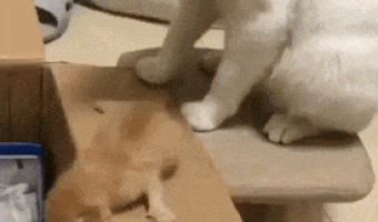 I do not have patience