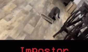Imposter