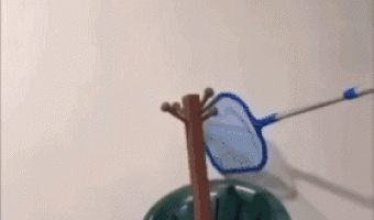 It’s not Wednesday my dudes