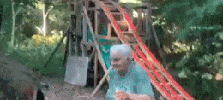 20 year old makes grandpa roller coaster