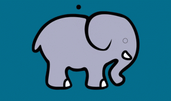 Put the Eyes on the Elephant