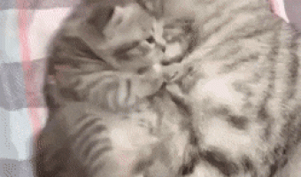 Its hard to be a mother