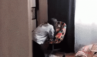 The true face of the cat