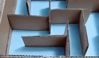 Mouse maze