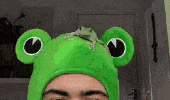 I present to you my friend