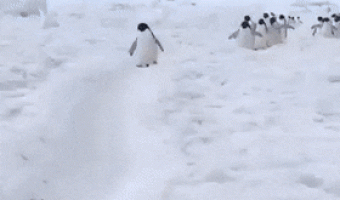 Lo mas lindo que veras hoy