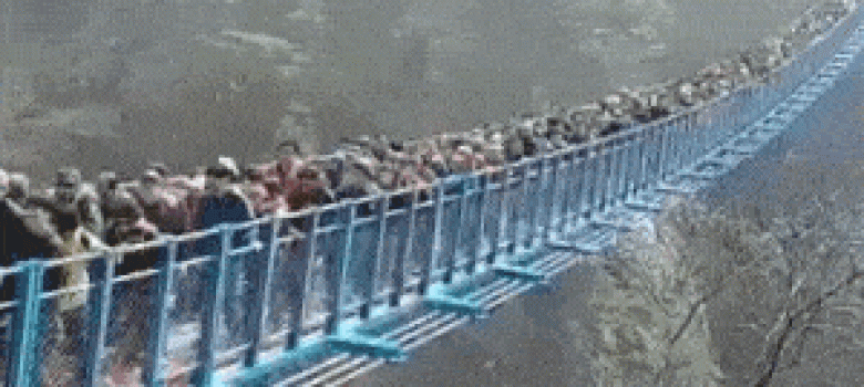 Long bridge