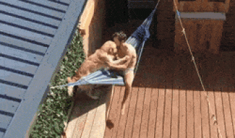 Dogs need to relax too