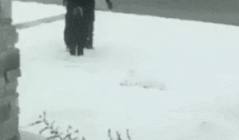 Making an angel on snow