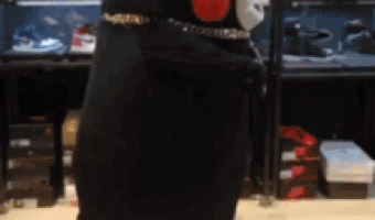 Master swordsbear