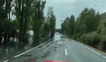 I thought I saw a boat on the road