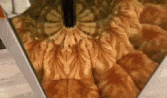 It took me several seconds to realize what it was