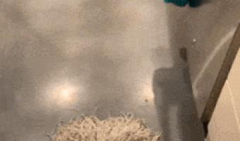 Fear of mopping