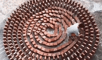 Child spoils the circle of bricks