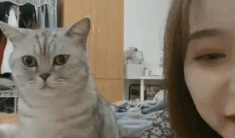 I don’t want kisses, just head bump