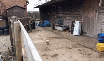 Nobody told me it was impossible, so I did it…