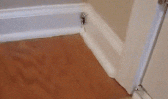 Not all heroes wear capes