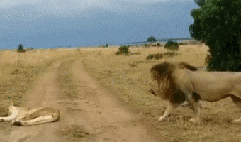 Never wake up your wife
