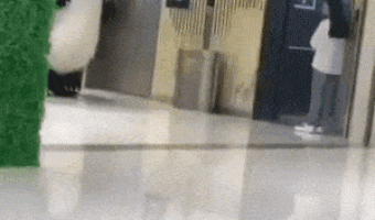 Panda and elevator