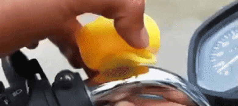 Toy duckling on motorcycle