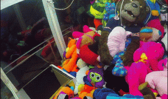 Plush is alive