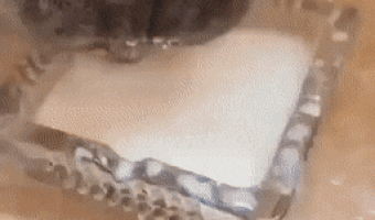 Why are you doing this to me