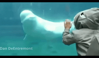 You wanted to scare me