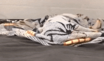 Who is behind the sheets?