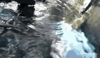 You want to take a selfie