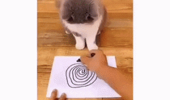 Rebooting the system