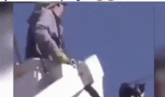 Rescuing the cat