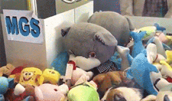 Cat in Claw Machine