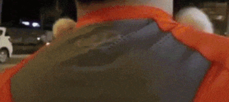 Cat hugs human
