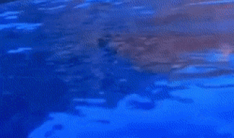 Came out of nowhere