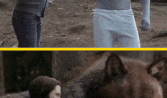 Simulating a Dog