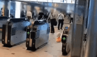 Someone Passed Without A Ticket