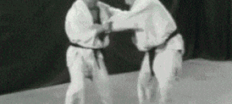 Kung-fu technique