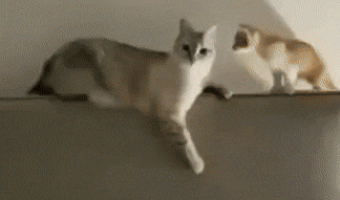 Thats what you get kid