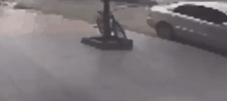 They didn’t expect that