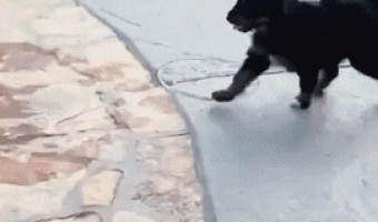 Todos cometemos errores