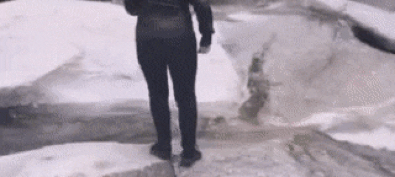 Trying to cross without getting wet