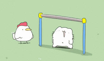 Cats and hen animation